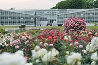 神代植物公園