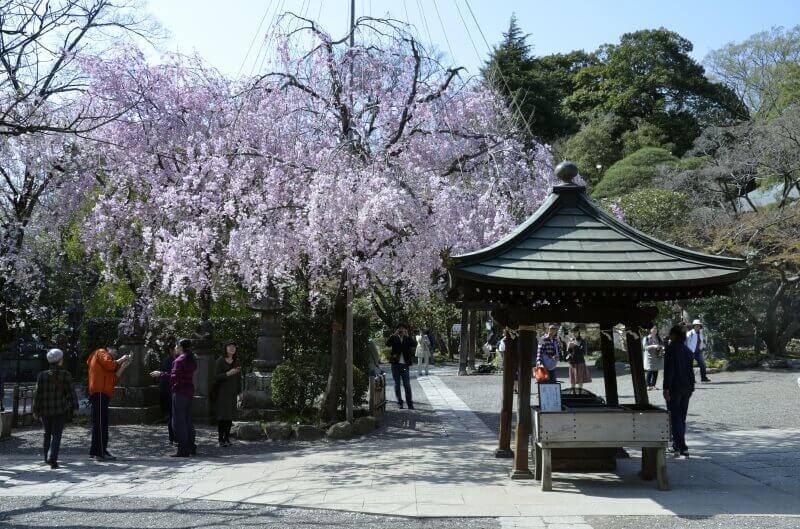 常香楼